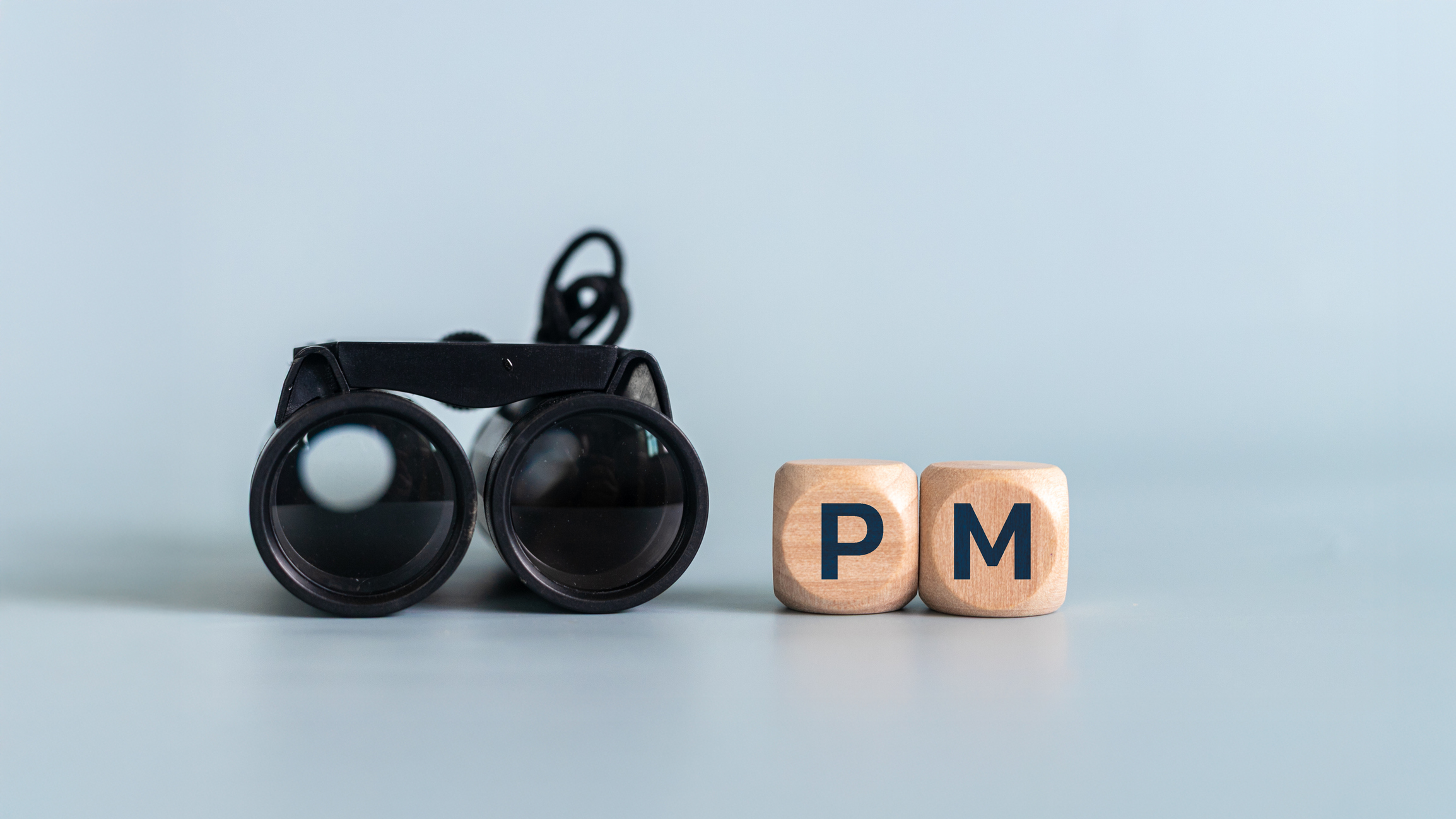 PM